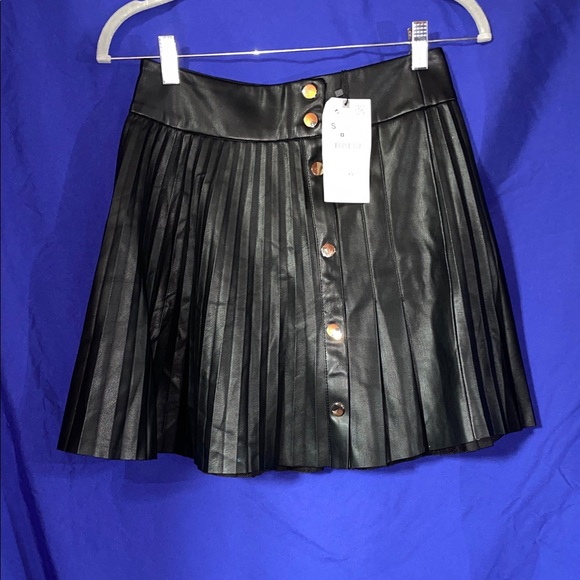(2) Zara Faux Leather Pleated Skirts - Picture 2 of 7